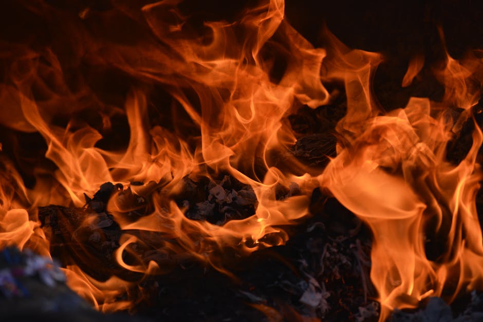 Four astrological elements fire earth air water with zodiac symbols