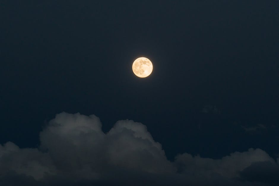 Full moon phases calendar for 2026 with zodiac signs