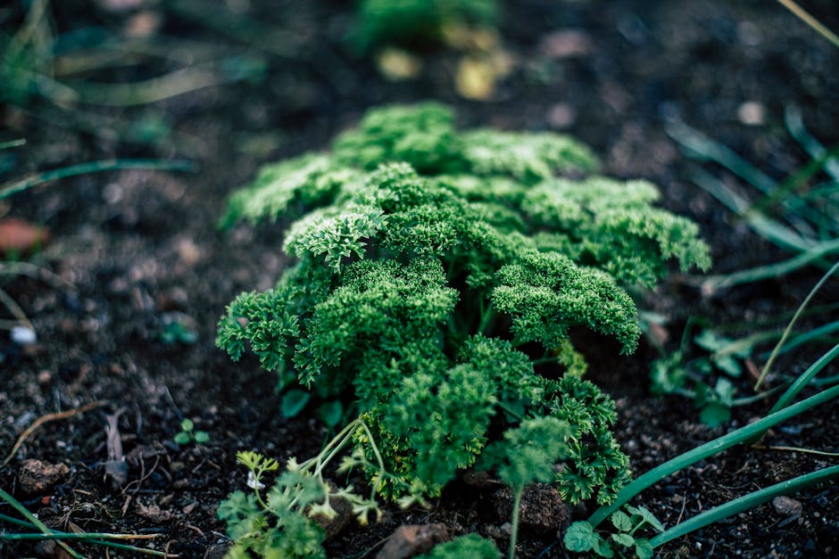Companion planting garden vegetables