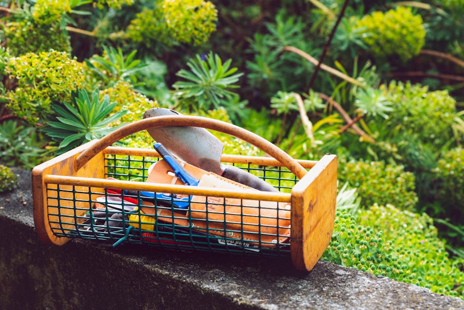 Seasonal garden maintenance