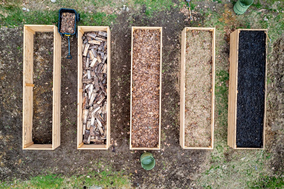 Beginner vegetable garden