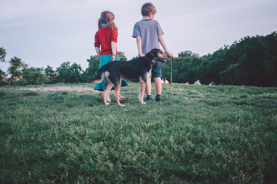 Family dog playing children