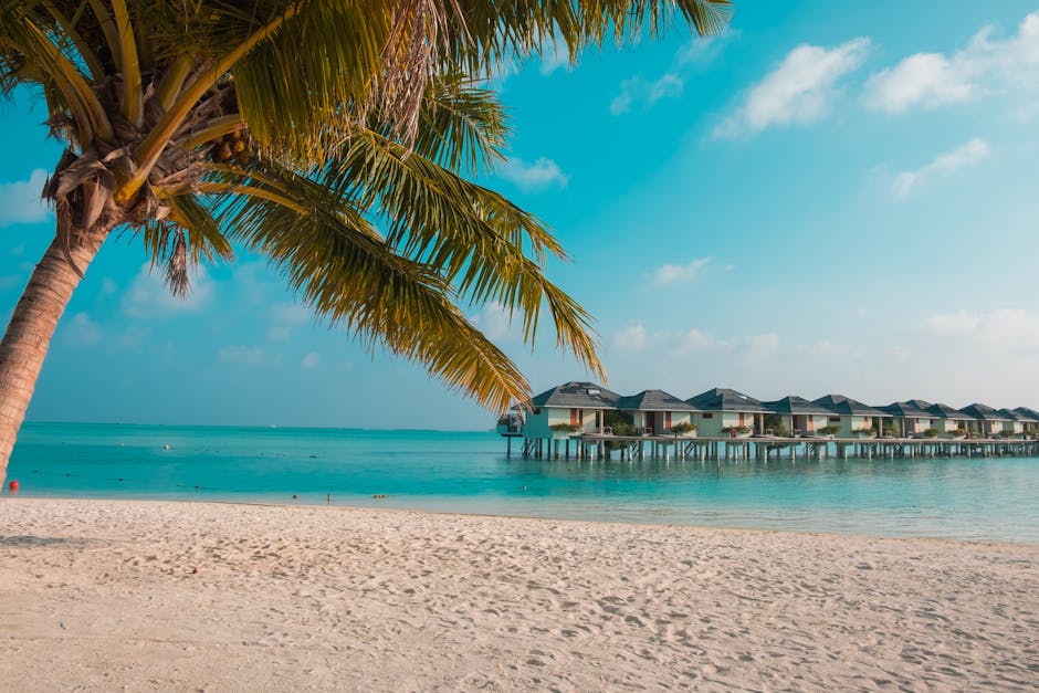 Travel destination tropical beach